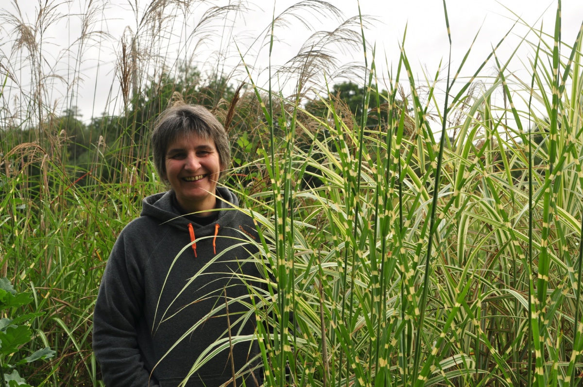 Le Jardin d'Herbes